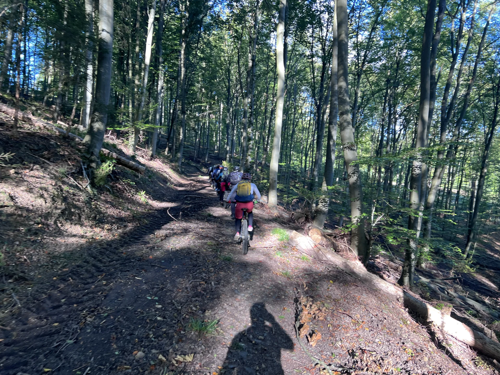 © Brigitte Kütscher