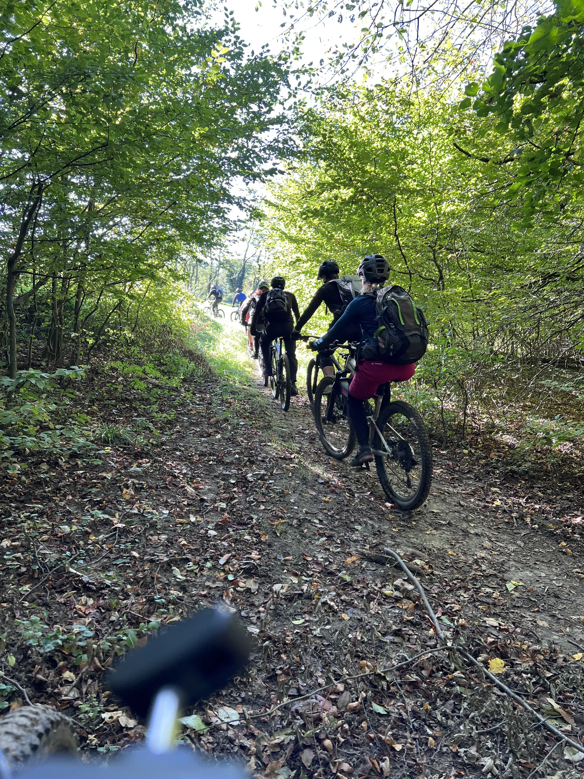 © Brigitte Kütscher