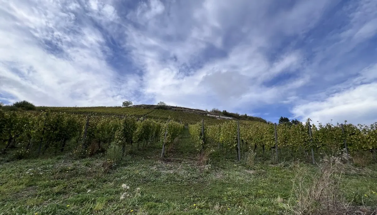 © Brigitte Kütscher