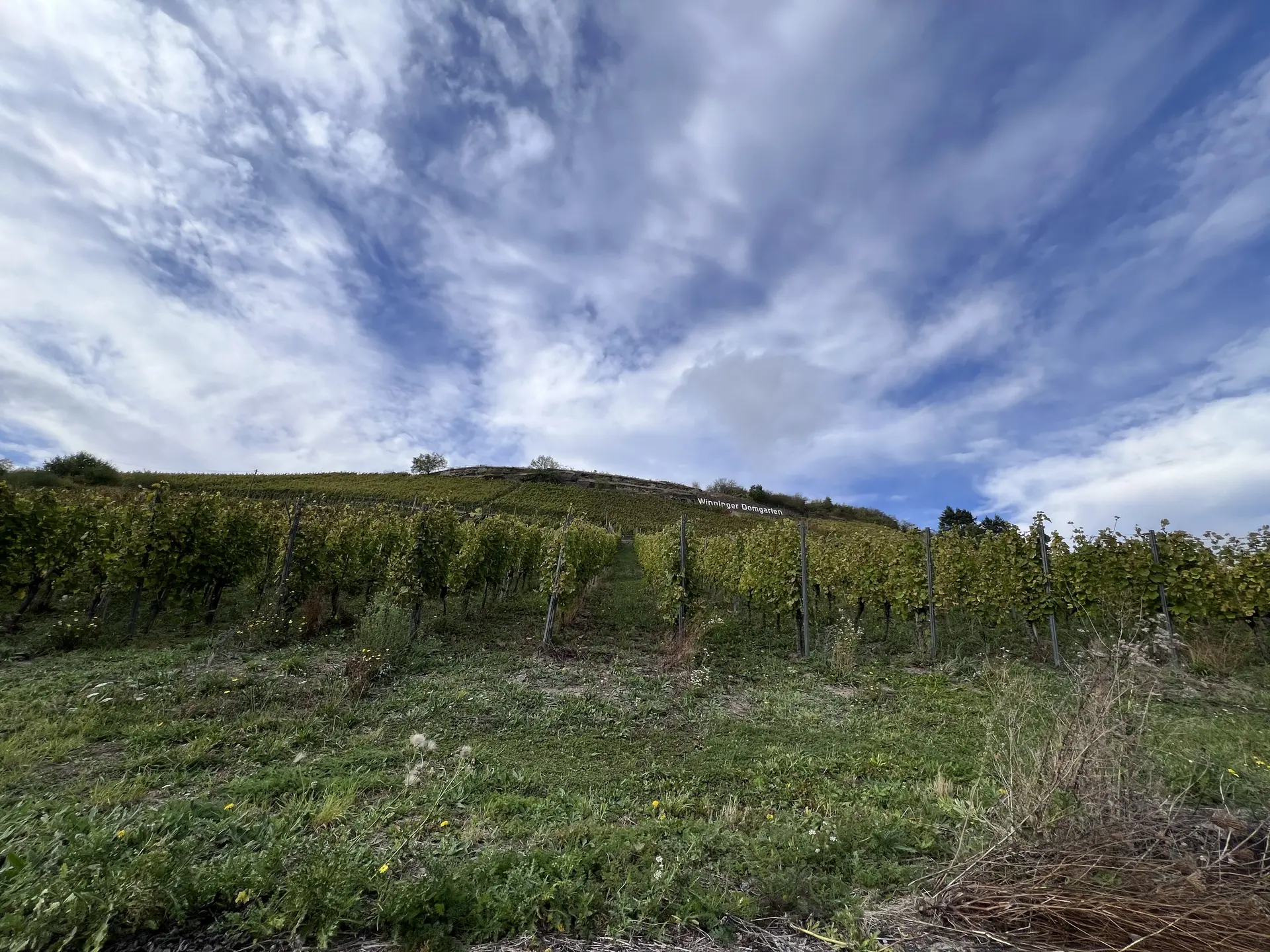 © Brigitte Kütscher