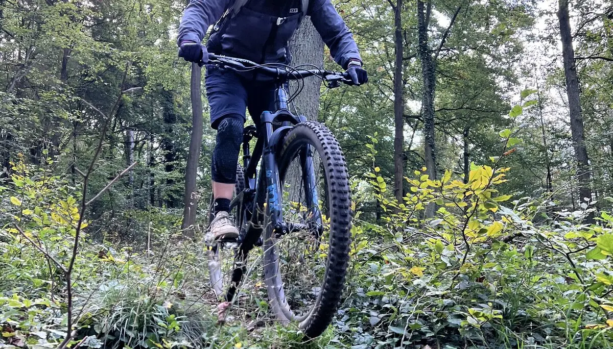 © Brigitte Kütscher